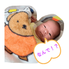 bear_20250412205904