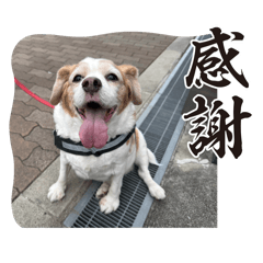 kchan_20250412221626