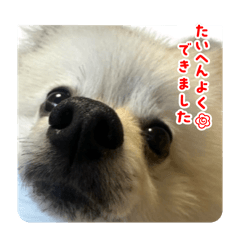 mo_20250412221621