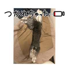 rei_20250412211123