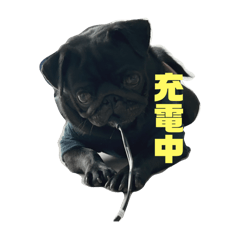 Koto_20250412212158