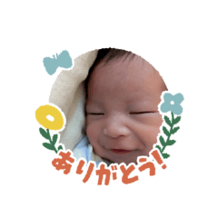 haru_20250412231530