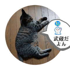 kurodanian_20250412232446