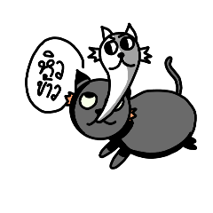 cat_20250408124301