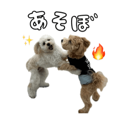 mami_20250412182859