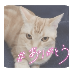 natsu_20250412182744