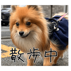Moka_20250412182814