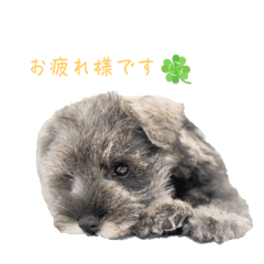 Yume_20250412184303