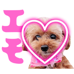 Cute word: Dog