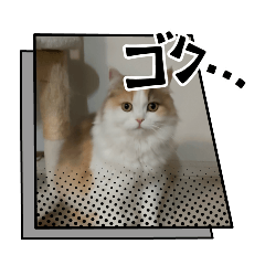 seeeera_20250412222508