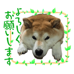masaki_20250412235227