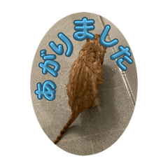 ikumi_20250413083951