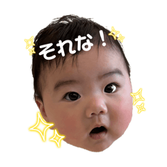 Maki_20250413085439