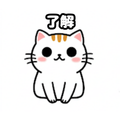gajwtqjmd