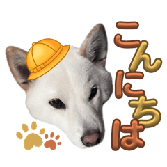 ponzu_20250413104050