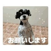 masumi_20250413000700