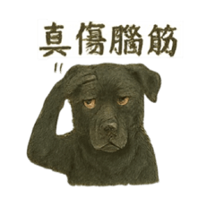 Lucky lucky搞笑