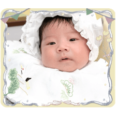 HARUTO20250411