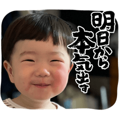 moe_20250412191804