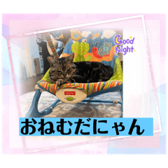 monmon_1563