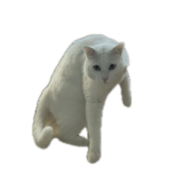 Milk coming