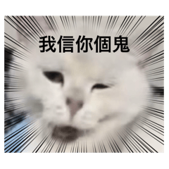 咪嚕之日常生活