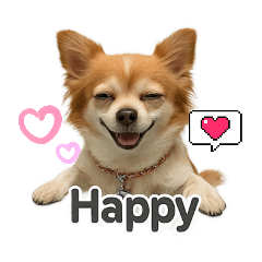 Chanyarat_20250408181726