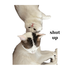 yuzu_20250413031333