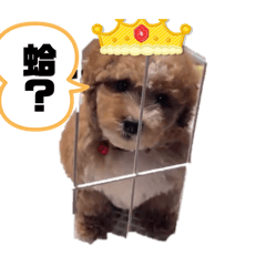 （王麵麵）