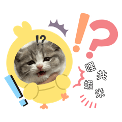 灰戈1