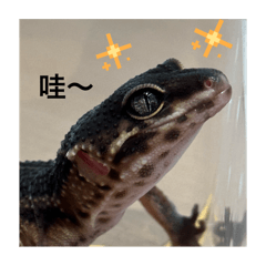 爬爬物語