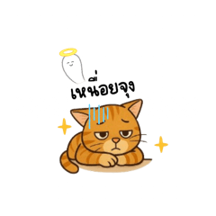Notty0429_20250408215042