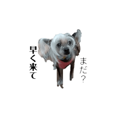 no_20250412215621