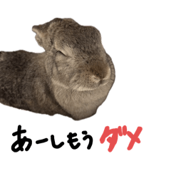 gon_20250412224812