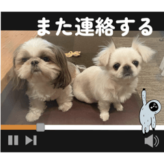 mika_20250412224354