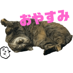 hitomi_20250413001800