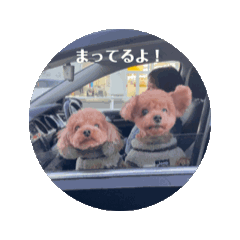 yui_20250413104351
