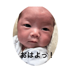 ryo_20250413003617