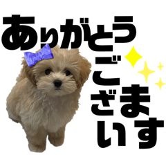 Yuukichi_20250413004431