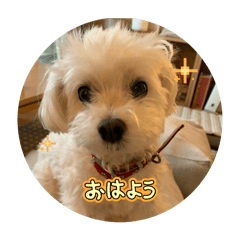 harukun STAMP (1228)