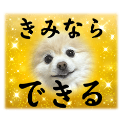 nono_20250413064206