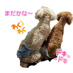 ichi_20250413072251