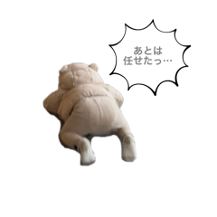 ma_20250413092141