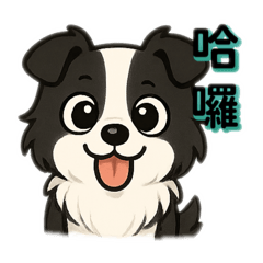 邊牧の小貼圖