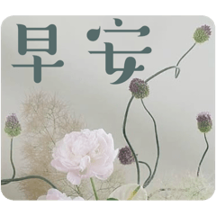 amber、安博春啦
