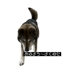 c4_20250413122246