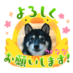 Mizuki_20250413122452