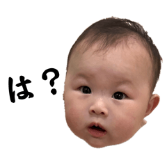 Shiho_20250413122640