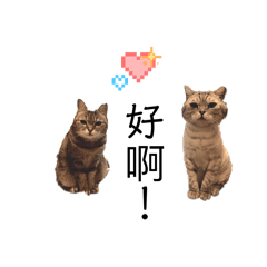 Lulu & 阿丸