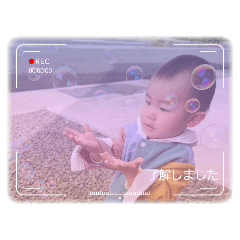 ringo_20250413130355